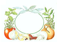 Gummed Chutney 4006